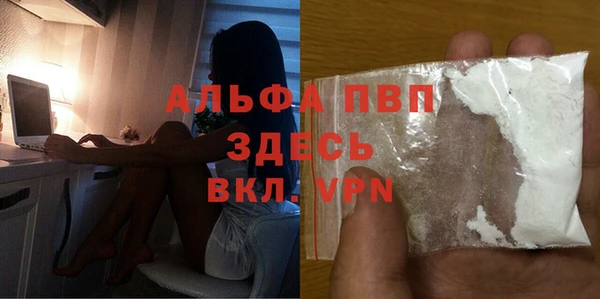 индика Михайловка