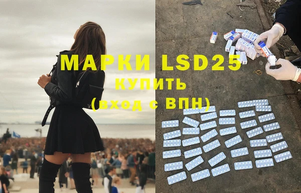 индика Михайловка