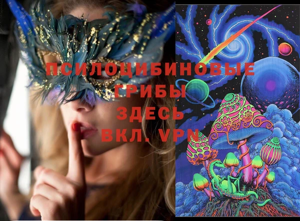 индика Михайловка