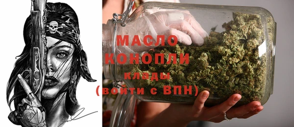 индика Михайловка