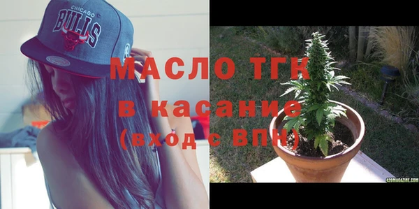 индика Михайловка
