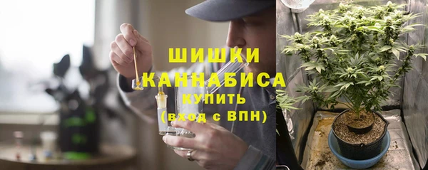 индика Михайловка