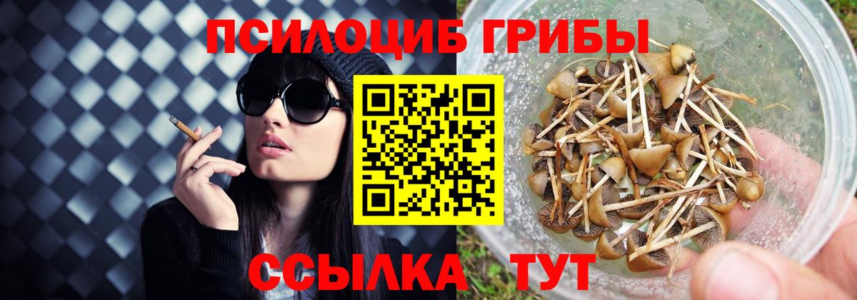 Галлюциногенные грибы мицелий  Вход с VPN  Саров 